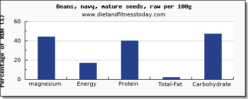 magnesium and nutrition facts in navy beans per 100g